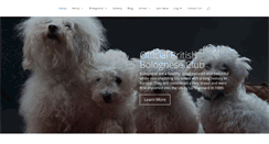 Desktop Screenshot of britishbologneseclub.co.uk